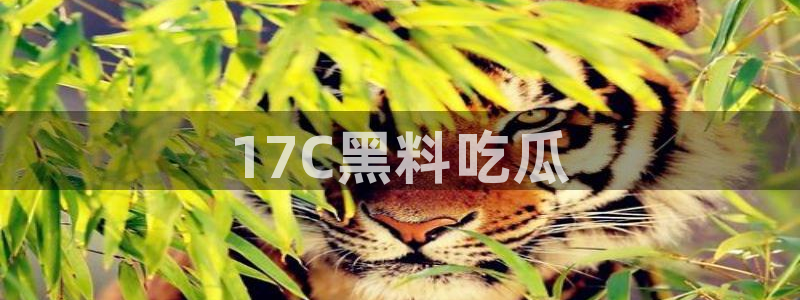 吃瓜小说:17C黑料吃瓜
